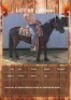 1 X WILSON HORSE STALLION R. VAN DER ZEE