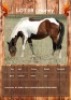 1 X HONEY HORSE MARE R. VAN DER ZEE
