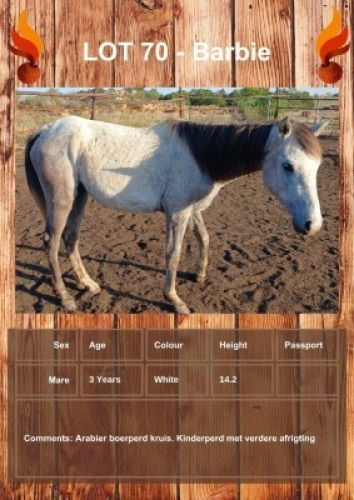 1 X BARBIE HORSE MARE GIDEON PRETORUIS