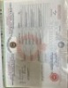 1 X OKONJIMA BERNARD HORSE GELDING GUSTAV COMBRINK - 2