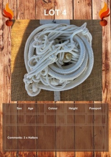 1 X HALTERS FANIE ROOTMAN