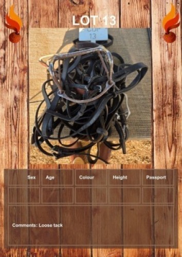 1 X LOOSE TACK FANIE ROOTMAN