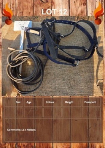 1 X HALTERS FANIE ROOTMAN