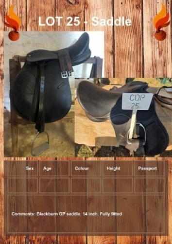 1 X SADDLE LEANDRI DU TOIT