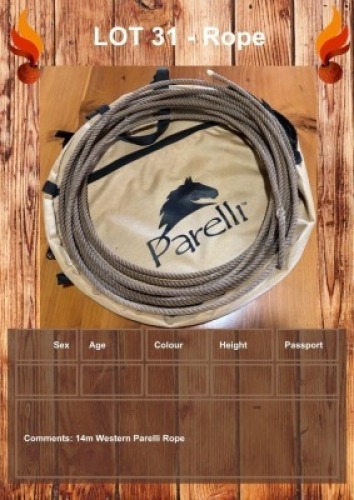 1 X ROPE LEANDRI DU TOIT