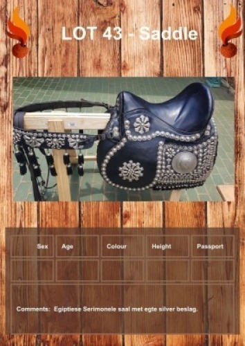 1 X SADDLE JAN HEPBURN