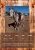1 X SHAH-ALMAR DAKAR HORSE STALLION JOHAN VAN TONDER