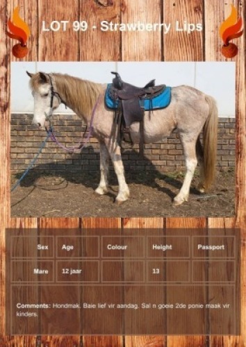 1 X STRAWBERRY LIPS HORSE MARE YAKEZA RANCH