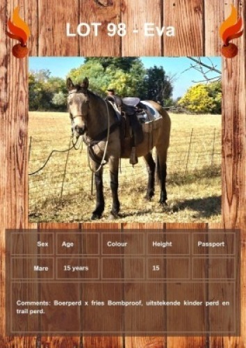 1 X EVA HORSE MARE YAKEZA RANCH