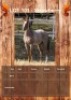 1 X STRAWBERRY HORSE MARE LICIA-ANE HANGEN
