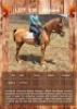 1 X AKEEM HORSE GELDING LEANDRI DIPPENAAR