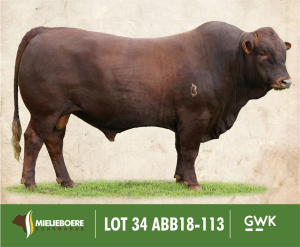 LOT 34: ABB 180113