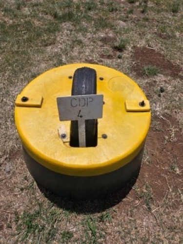 1 X Lick Wheel