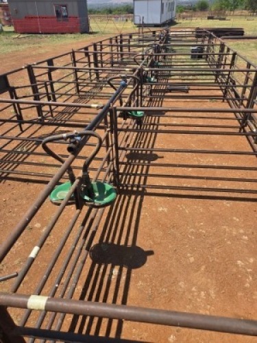 1 X 22 Ewe lambing pen system with automatic water system