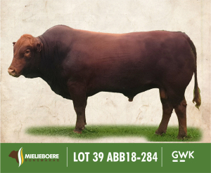 LOT 39: ABB 180284