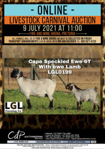 1 + 1 X CAPE SKILDER GOAT EWE LGL FARMING CO - CAPE SKILDER