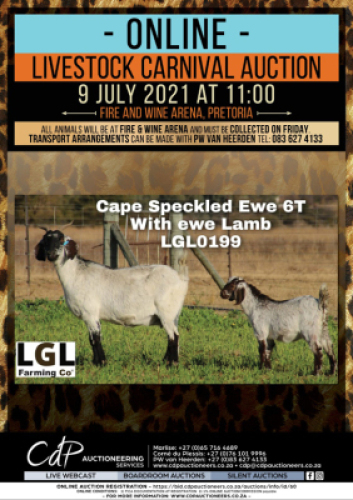1 + 1 X CAPE SKILDER GOAT EWE LGL FARMING CO - CAPE SKILDER
