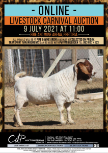 1 X BOERBOK RAM WIL JO BOERBOK STD