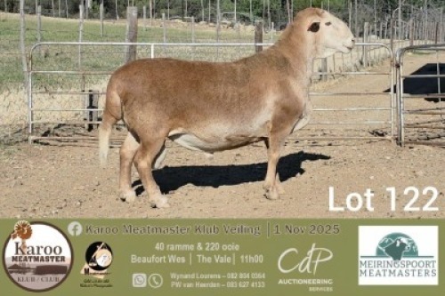 1 X MEATMASTER RAM Meiringspoort Meatmasters