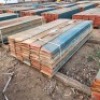 50 X 2.0M TOE BOARD (Pay per Lot) - 4