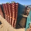 100 X 2.0M HOOK ON STEEL BOARD (Pay per Lot) - 3