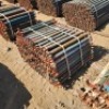 100 X 0.9M LEDGER (Pay per Lot) - 2