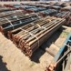 50 X 2.5M REINFORCED LEDGER (Pay per Lot) - 3