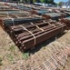 50 X 2.5M REINFORCED LEDGER (Pay per Lot) - 4