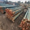 100 X 3.3M BRACES (Pay per Lot) - 3