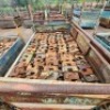 1544 X DH COUPLERS (Pay per Lot) - 3