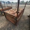 1584 X BAND AND SCREW PLATES (Pay per Lot) - 4