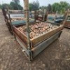 1260 X BAND AND SCREW PLATES (Pay per Lot) - 5