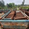 561 X 0.5M LEDGER (Pay per Lot) - 4