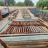 666 X 0.5M LEDGER (Pay per Lot) - 2