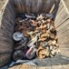 62 X SCAFFOLD CASTER WHEELS (Pay per Lot) - 3