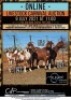 3 X CAPE LOB EAR GOAT EWE MADIRU - CAPE LOB EAR (Per Piece to take the lot)
