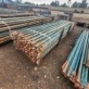 98 X 3.3M BRACES (Pay per Lot) - 5