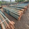 100 X 3.3M BRACES (Pay per Lot) - 4