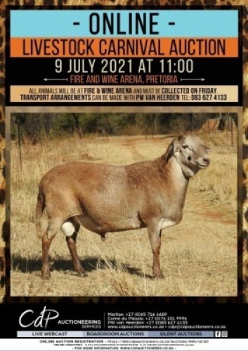 1 X MEATMASTER SKAAP RAM ZABO BOERDERY 
