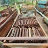 600 X 0.5M LEDGER (Pay per Lot) - 3