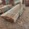 51 X 2.5M LEDGER (Pay per Lot) - 5