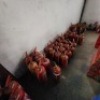 VARIOUS SIZES FIRE EXTINGUISHERS - 3