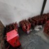 VARIOUS SIZES FIRE EXTINGUISHERS - 4