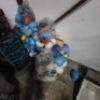HARD HATS (Pay per Lot) - 2