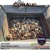254 X RIGID CLAMPS(Pay per Lot)