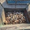 254 X RIGID CLAMPS(Pay per Lot) - 3