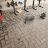 4 X GENIE MACHINE , 4X HANDFLANGERS (Pay per Lot) - 5