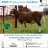 1 X MEAT MASTER RAM Frontline Breeders