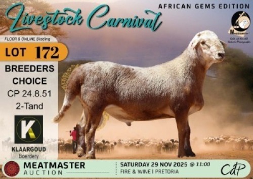 1 X MEATMASTER RAM Klaargoud Boerdery