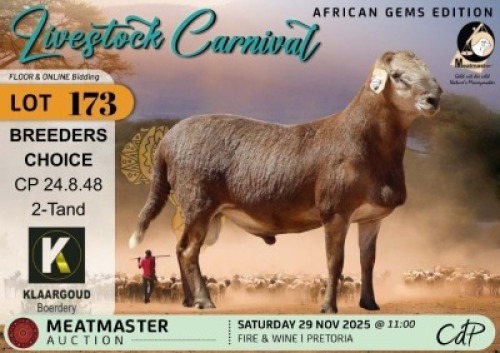 1 X MEATMASTER RAM Klaargoud Boerdery